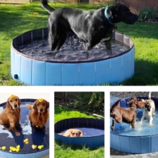 Basen dla psa i zwierząt ogrodowy 120x30cm