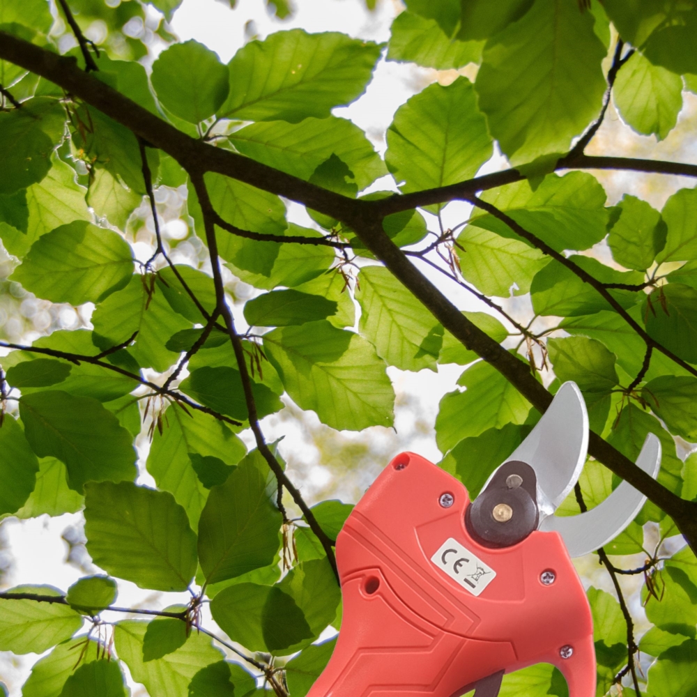 Sekator elektryczny nożyce ogrodowe + Akumulator