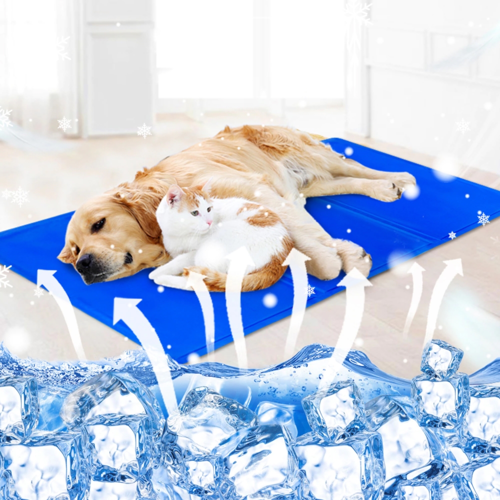 Mata chłodząca dla psa zwierząt Niebieska 90x50cm