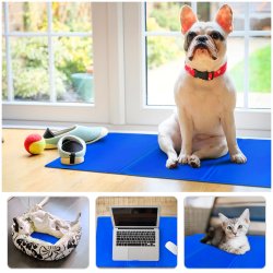 Mata chłodząca dla psa 90x50cm