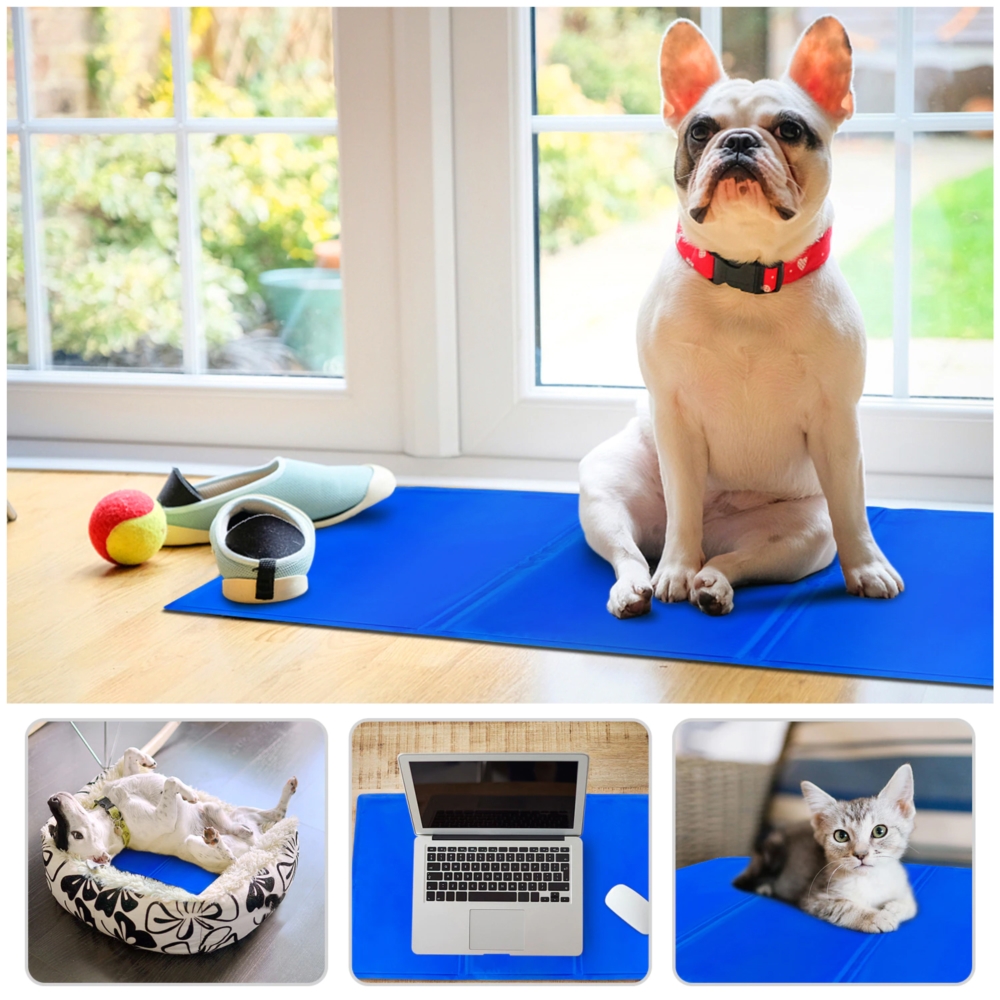 Mata chłodząca dla psa zwierząt Niebieska 90x50cm