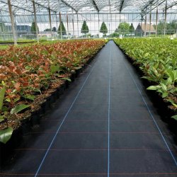 Agrowłóknina czarna 90g/m 1,1x50m + 50 Szpilek