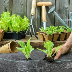 Agrowłóknina wiosenna ściółkująca na chwasty czarna 135g/m2 1,1x50m Premium