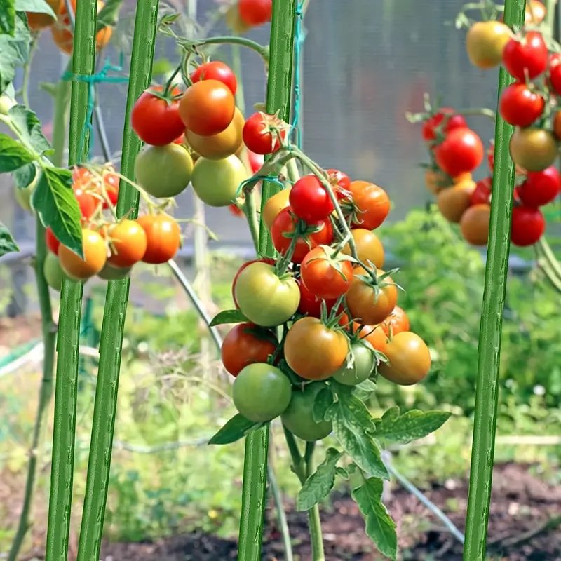 Tyczka do roślin pnących paliki 150cm 10 sztuk