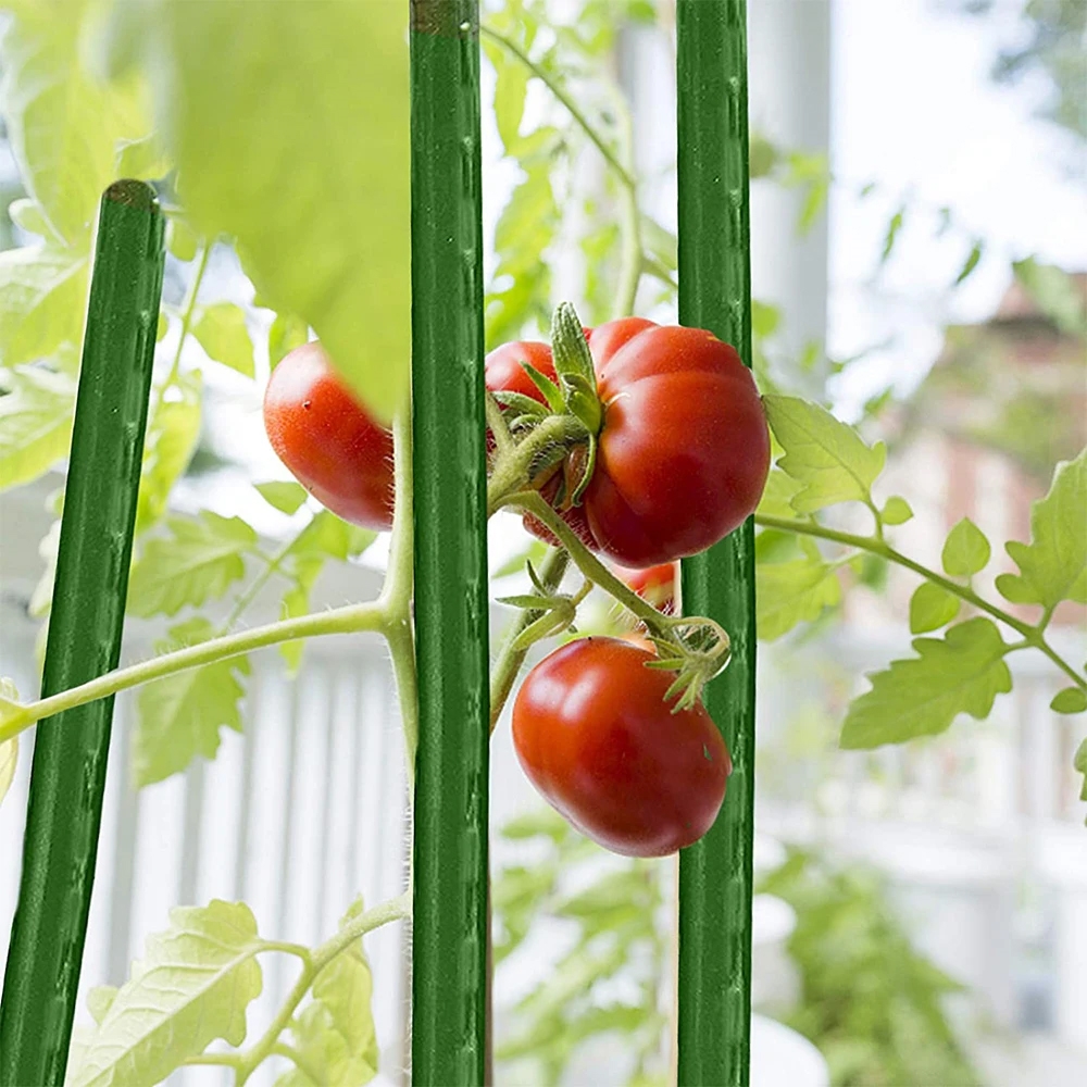 Tyczki do roślin pnących podpora 16mm 150cm 10 sztuk