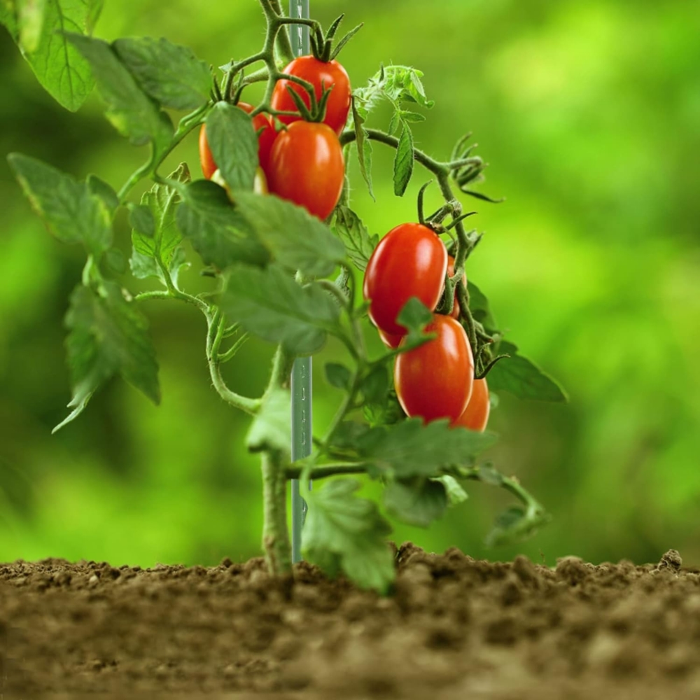 Tyczki do roślin pnących podpora 16mm 180cm 10 sztuk