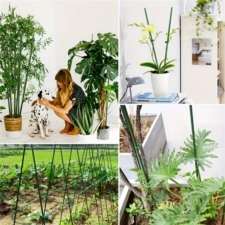 Tyczki do roślin pnących podpora 16mm 120cm 10 sztuk