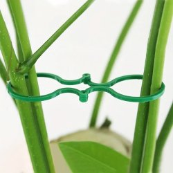 Uchwyty do mocowania roślin 40 sztuk