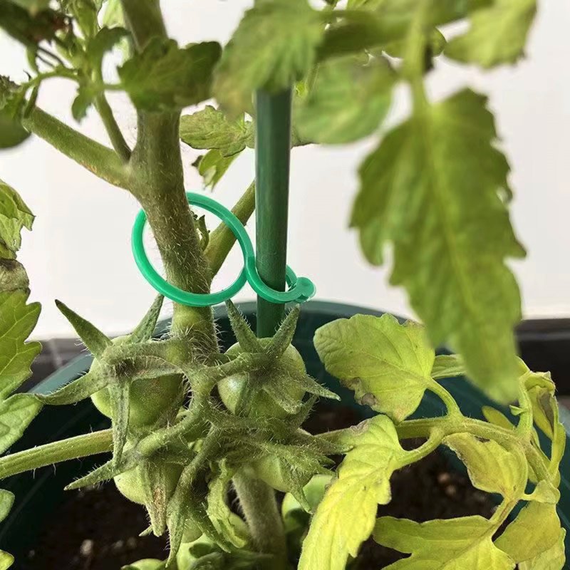 Uchwyty do mocowania roślin 40 sztuk