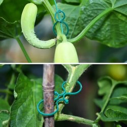 Uchwyty do mocowania roślin 40 sztuk