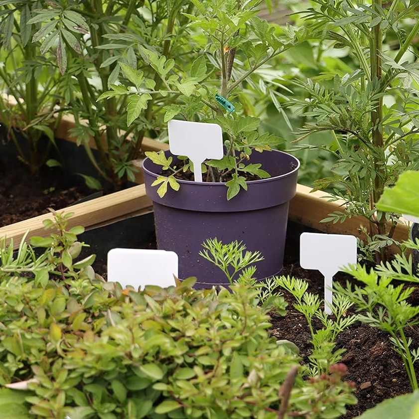 Wbijane etykiety do roślin białe 50 sztuk