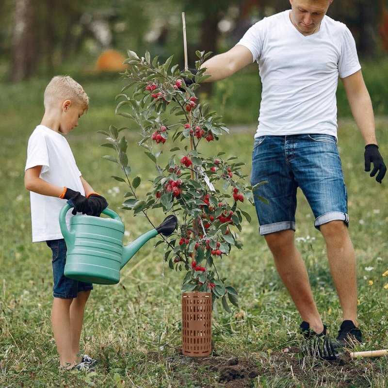 Osłona na pieńki drzew i innych roślin Brązowa 6 sztuk