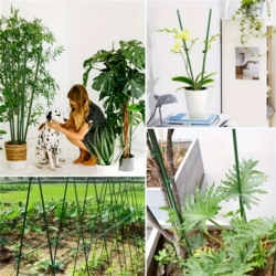 Tyczki do roślin pnących podpora 11mm 180cm 10 sztuk