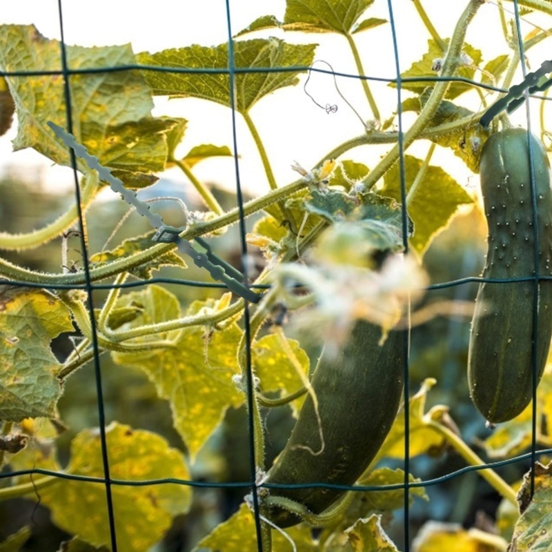 Opaski zaciskowe wielorazowe do roślin regulowane trytytki 100 szt.