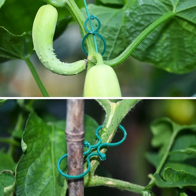 Uchwyty do mocowania roślin 40 sztuk (15 dużych + 25 małych)