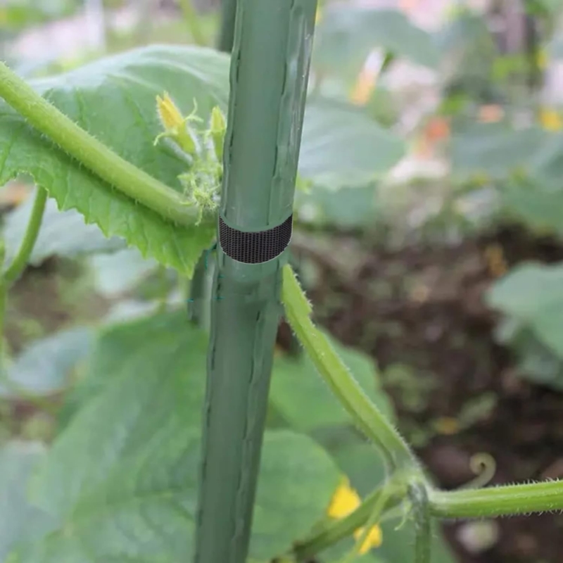 Taśma do mocowania drzew, roślin elastyczna Czarna 40mm / 40m