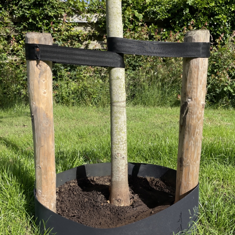 Taśma do mocowania drzew, roślin elastyczna Czarna 40mm / 60m