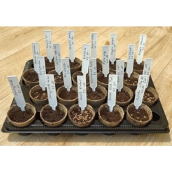 Wbijane etykiety do roślin wąskie Białe 10 sztuk