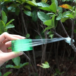 Sekator nożycowy do szczepienia drzewek, krzewów, roślin + Zapasowe noże 2 sztuki