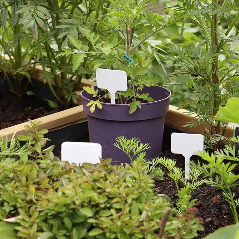 Wbijane etykiety do roślin białe 50 sztuk