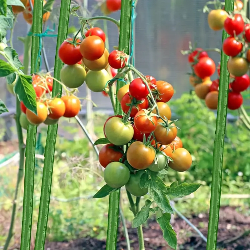 Tyczki do roślin pnących podpora 11mm 150cm 10 sztuk