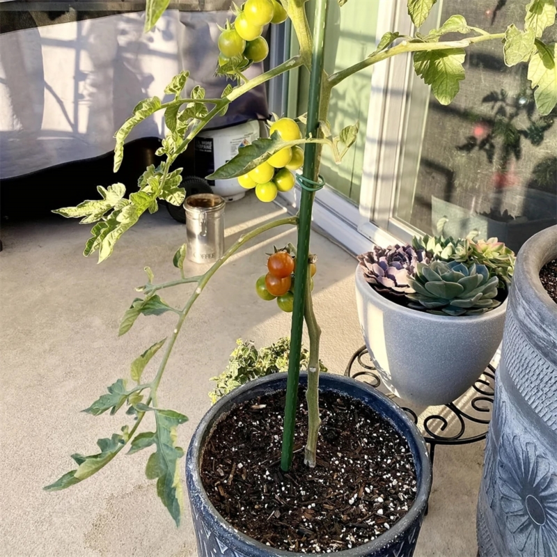 Tyczki do roślin pnących podpora 16mm 180cm 10 sztuk