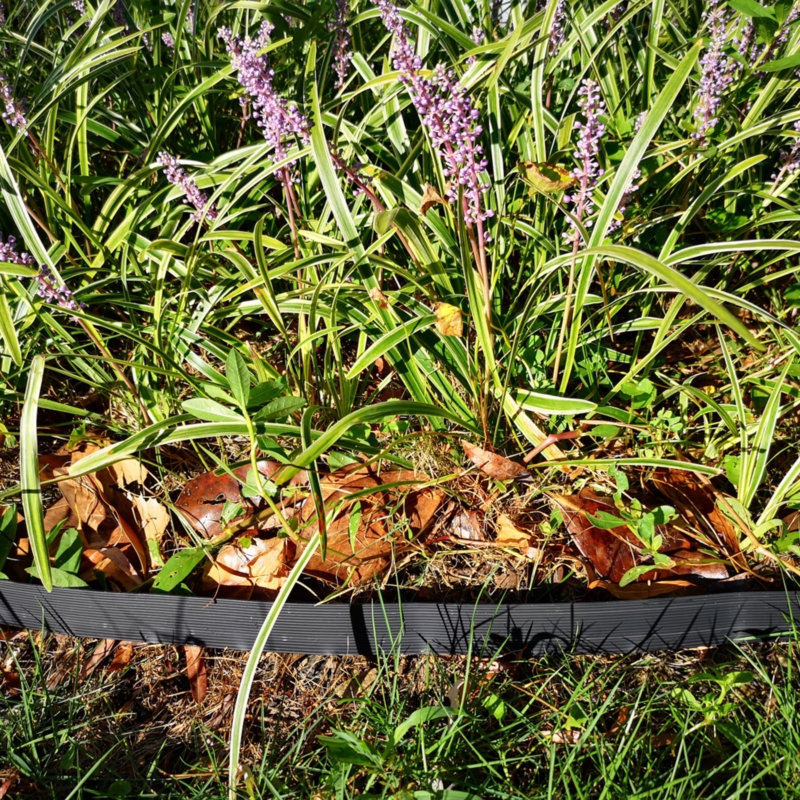 Obrzeże trawnikowe ogrodowe 6cm 30mb (3x10m) + 60 Kotew