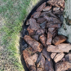 Obrzeże trawnikowe ogrodowe 4cm 20m + 40 Kotew