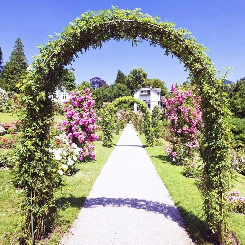 Pergola ogrodowa do róż i roślin pnących metalowa łuk 240cm