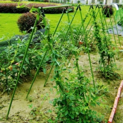 Stelaż do ogórków i pomidorów z tyczek ogrodowych 11mm 120x80cm