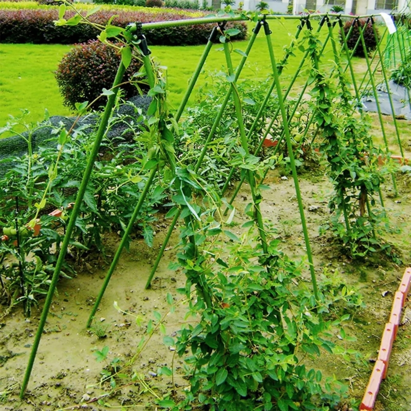 Stelaż do ogórków i pomidorów z tyczek ogrodowych 11mm 120x80cm