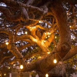 Girlanda ogrodowa 230V Żarówki Jarzeniowe 20 LED