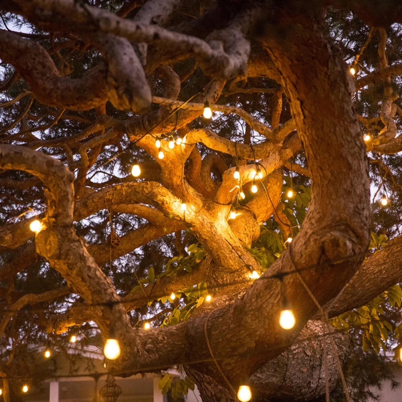 Girlanda ogrodowa 230V Żarówki Jarzeniowe 20 LED