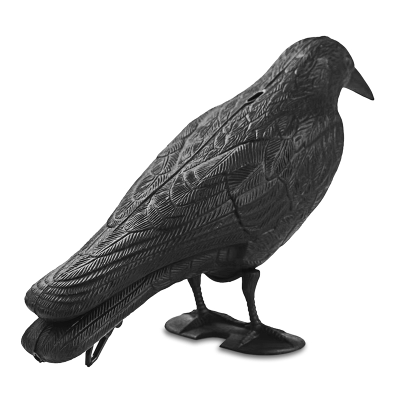 Kruk odstraszacz ptaków, gołębi na balkon, stojący