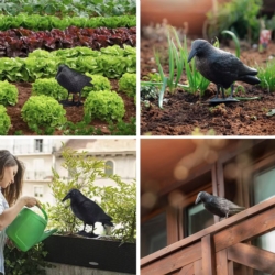 Kruk odstraszacz ptaków, gołębi na balkon, stojący