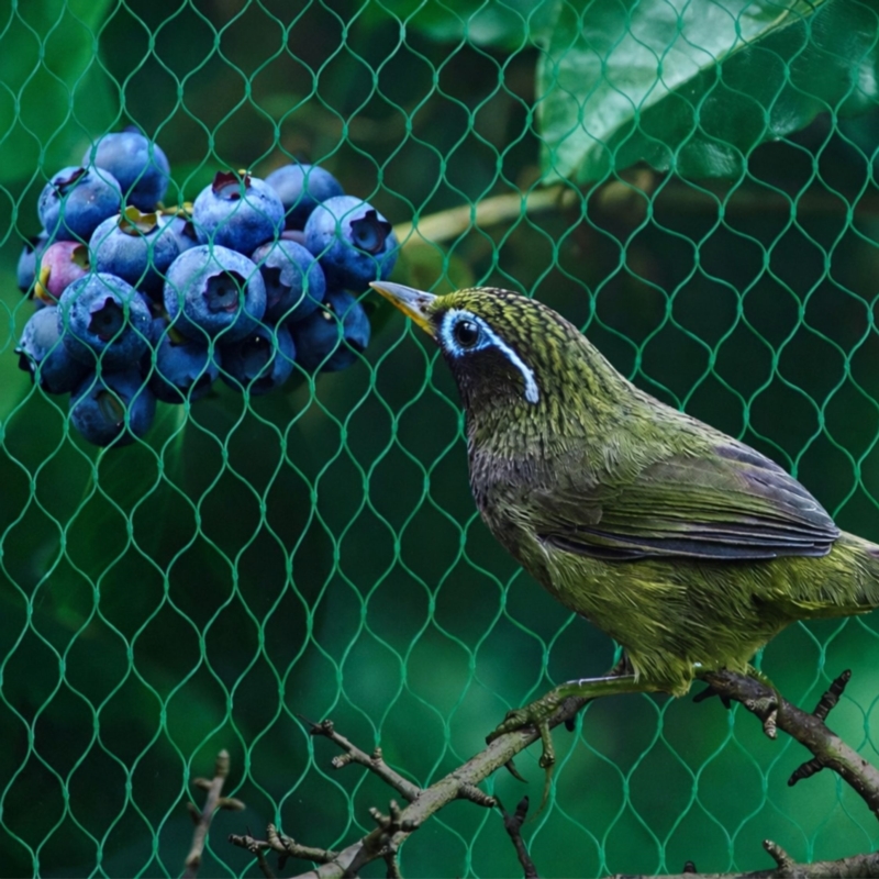 Siatka ochronna na ptaki Zielona 8x14m