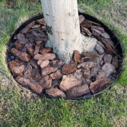 Obrzeże trawnikowe ogrodowe 6cm 10m + 20 Kotew