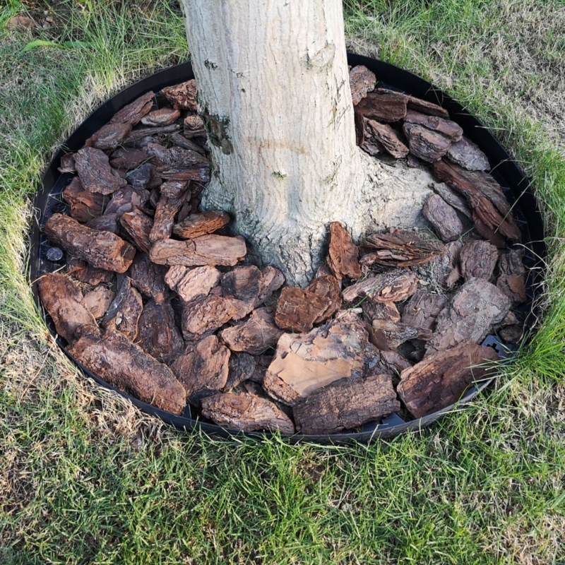 Obrzeże trawnikowe ogrodowe 6cm 10m + 20 Kotew