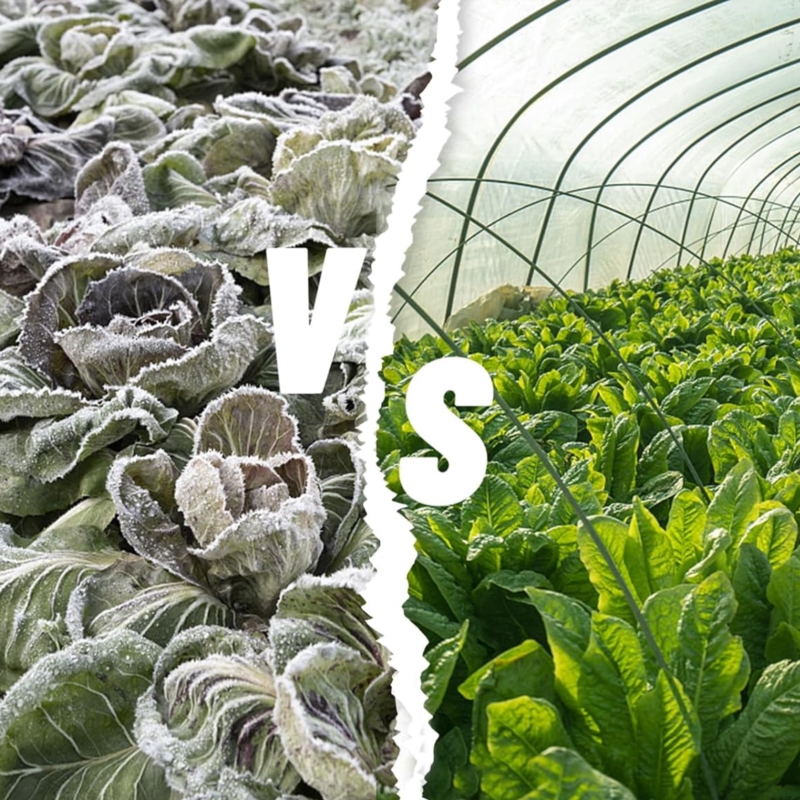 Agrowłóknina zimowa okryciowa biała 1,6x10m 17g/m2