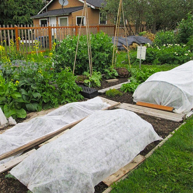Agrowłóknina zimowa okryciowa przeciw mrozom biała 1,6x10m 50g/m2