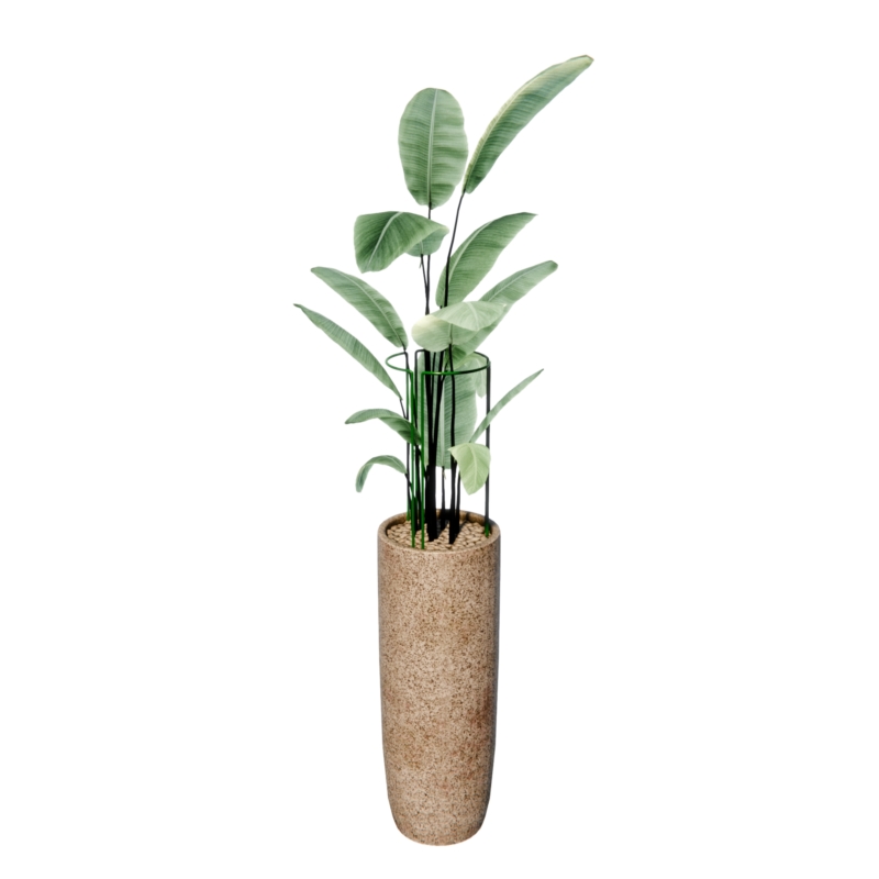 Podpora pierścieniowa trzyczęściowa do roślin domowych i ogrodowych 45cm Zielona