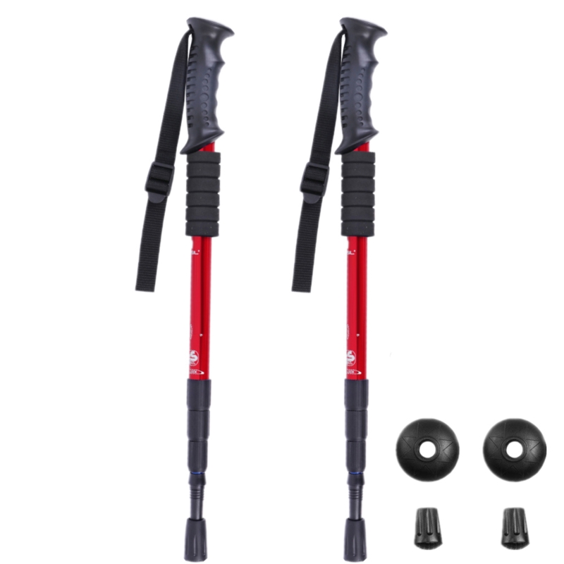 Kije nordic walking 2 sztuki