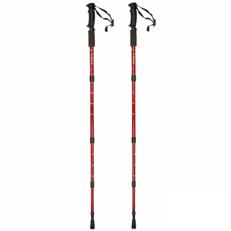 Kije nordic walking 2 sztuki