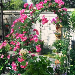 Pergola ogrodowa do róż i roślin pnących metalowa łuk 240cm