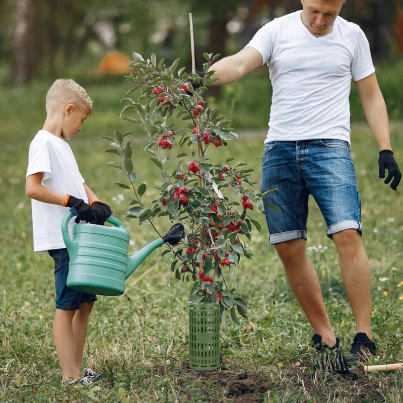Osłona na pieńki drzew i innych roślin Zielona 6 sztuk