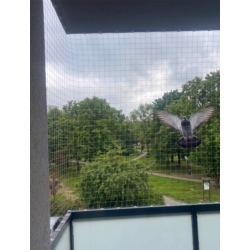 Siatka zabezpieczająca na balkon przeciw ptakom 3x2m