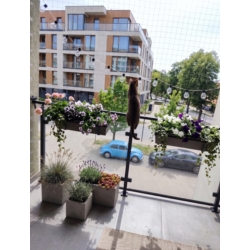 Siatka zabezpieczająca na balkon dla kota 3x8m
