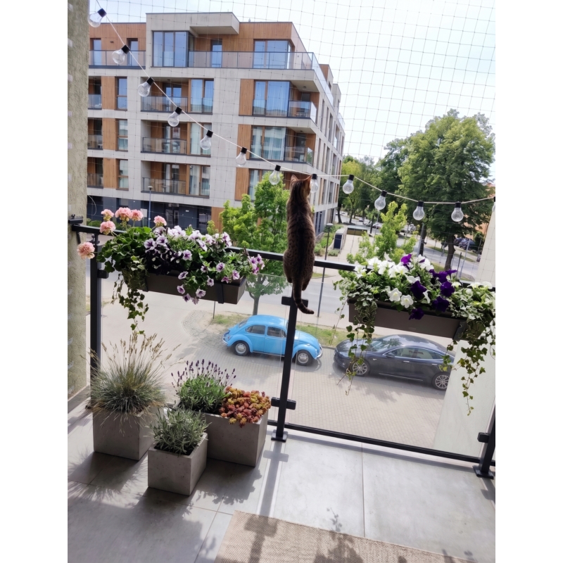 Siatka zabezpieczająca na balkon dla kota 3x8m