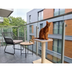 Siatka zabezpieczająca na balkon dla kota 3x8m