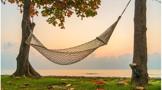  Jak zamontować hamak w ogrodzie, by był wygodny i bezpieczny?